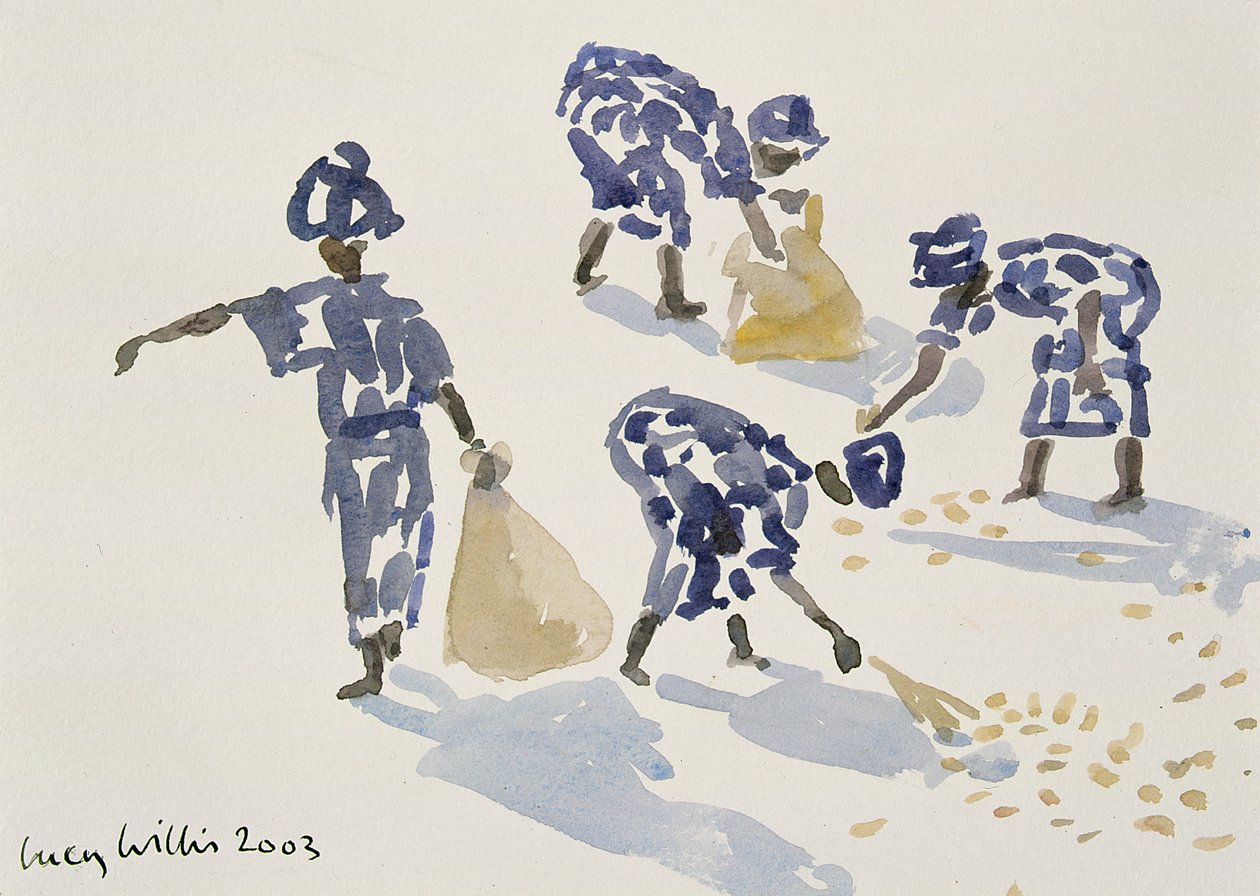 Pulizia delle foglie, Senegal, 2003 da Lucy Willis