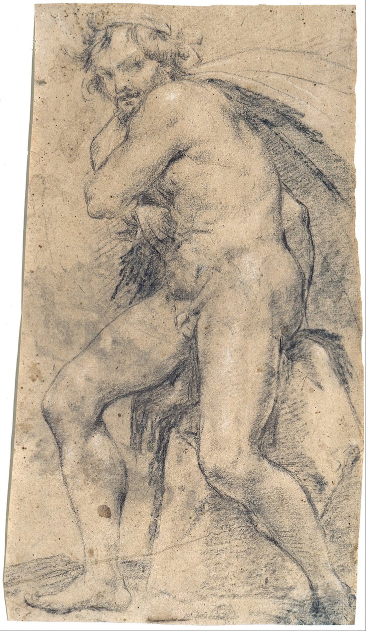 Nudo maschile (Ercole) da Ludovico Carracci