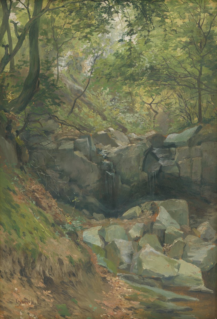 Ruscello nel bosco da Ludovit Cordak