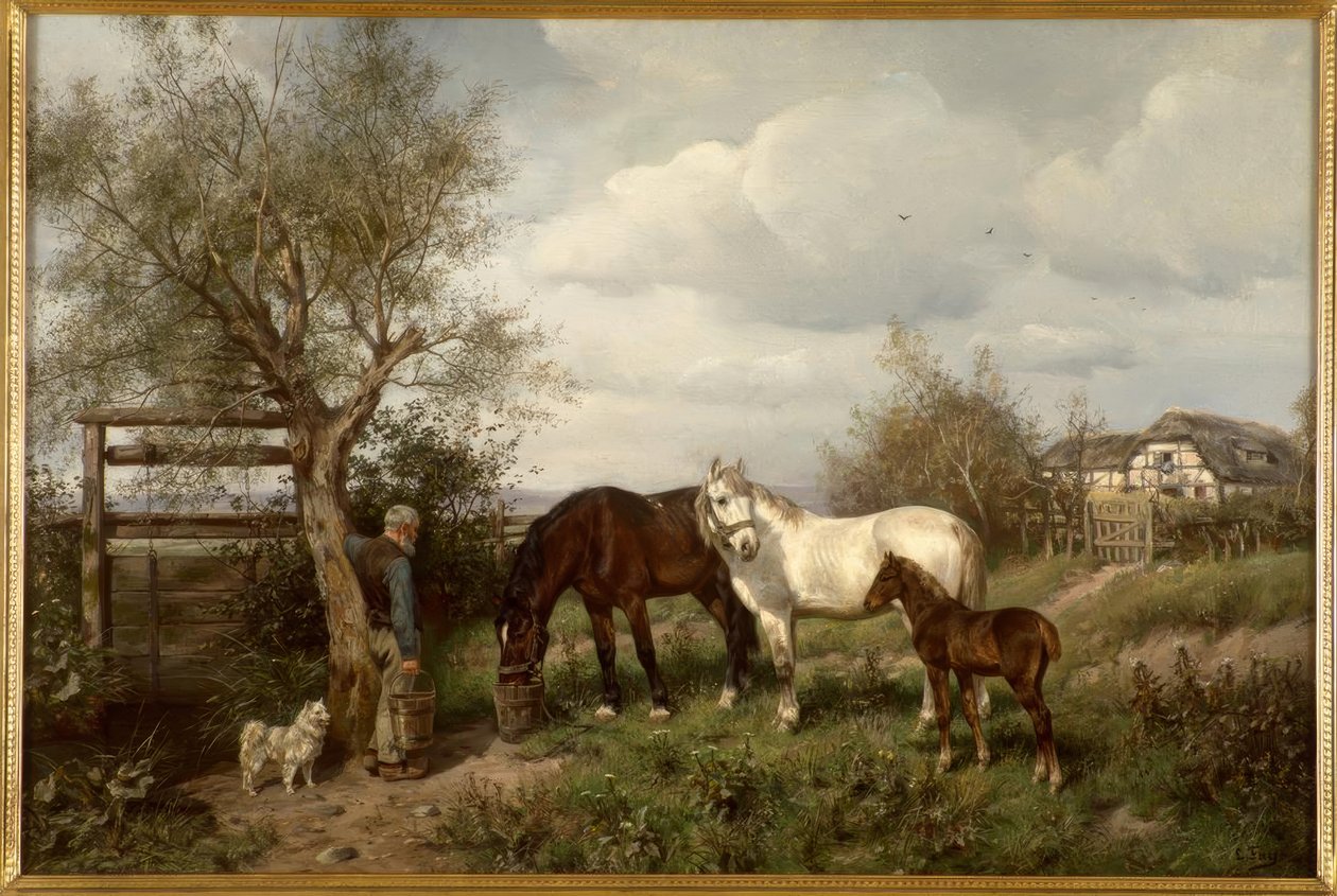 In campagna da Ludwig Fay