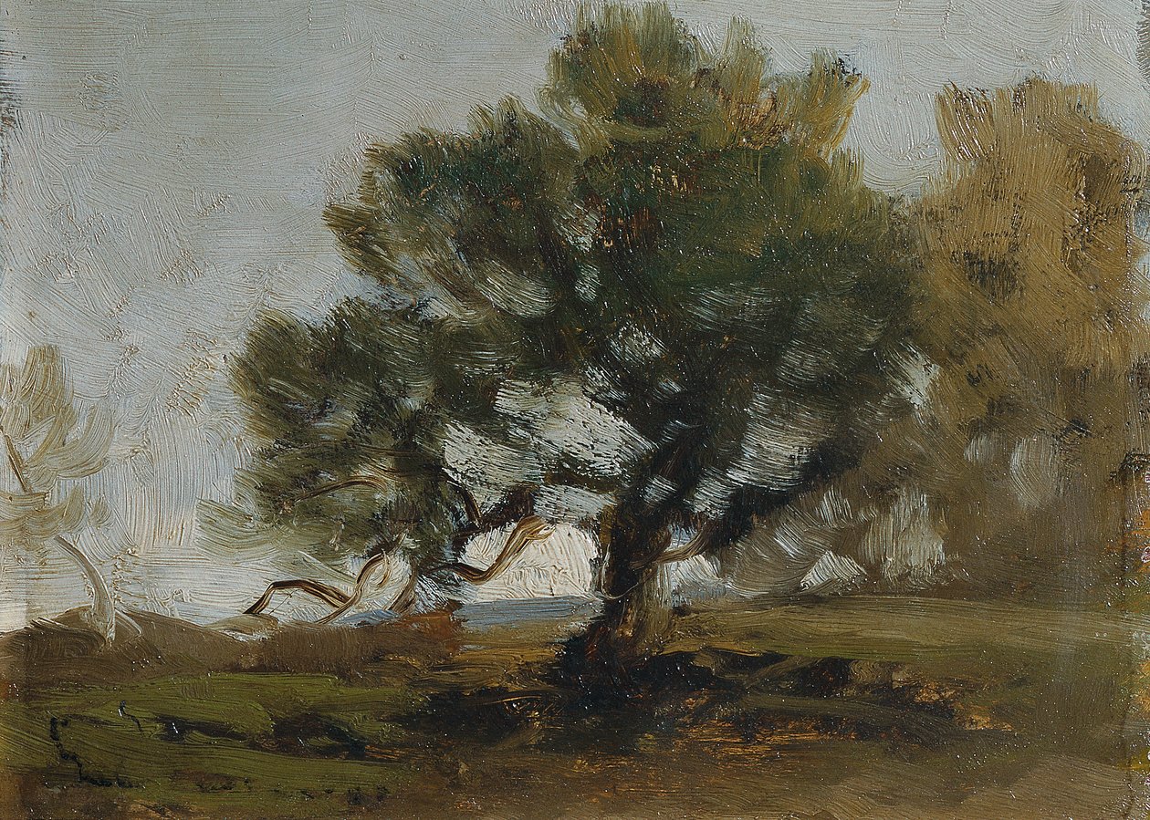 Paesaggio da Ludwig Willroider