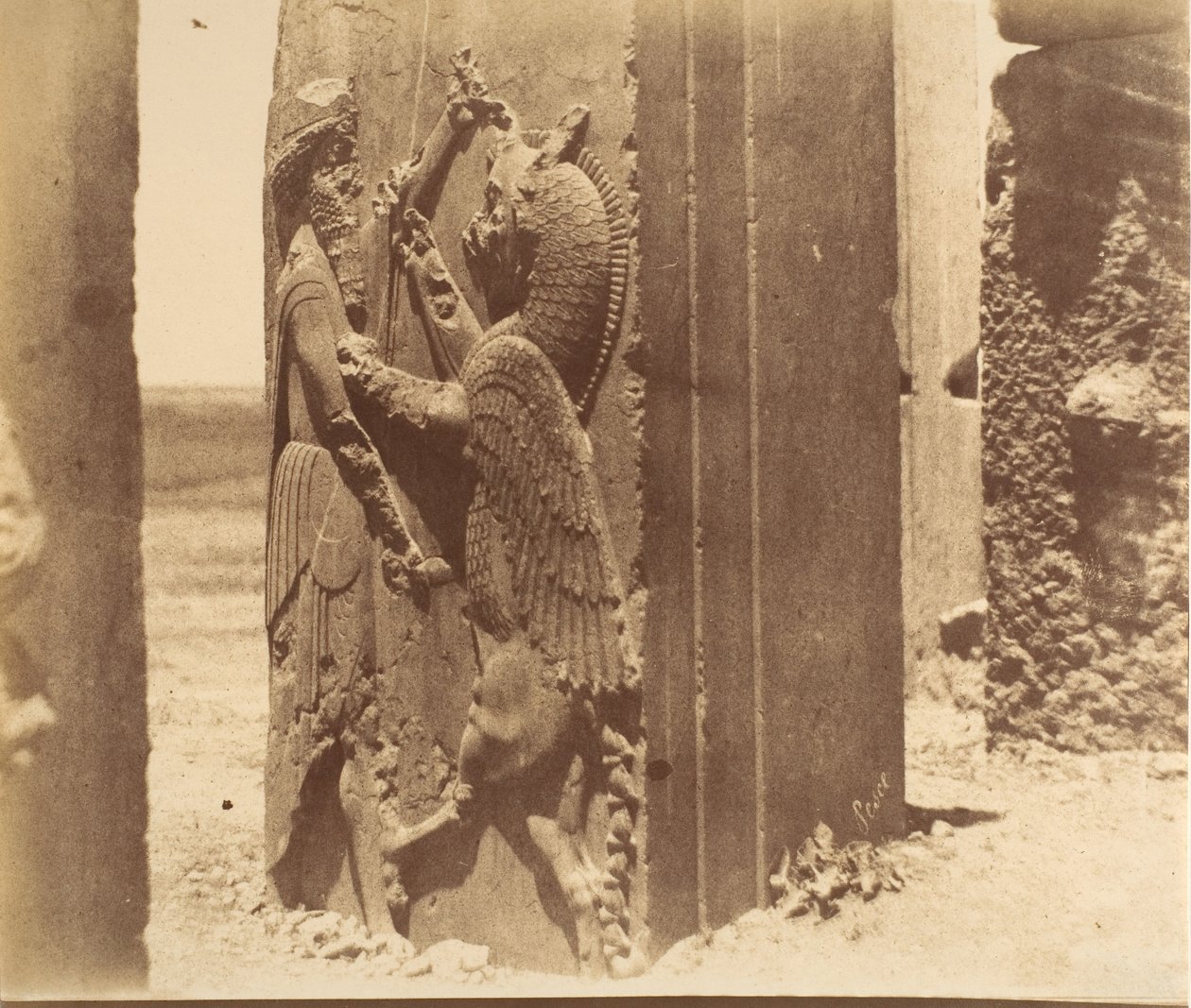Persepoli da Luigi Pesce