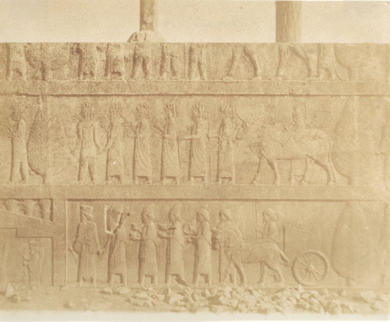 Processione sulla Facciata della Grande Scala, 1858 da Luigi Pesce