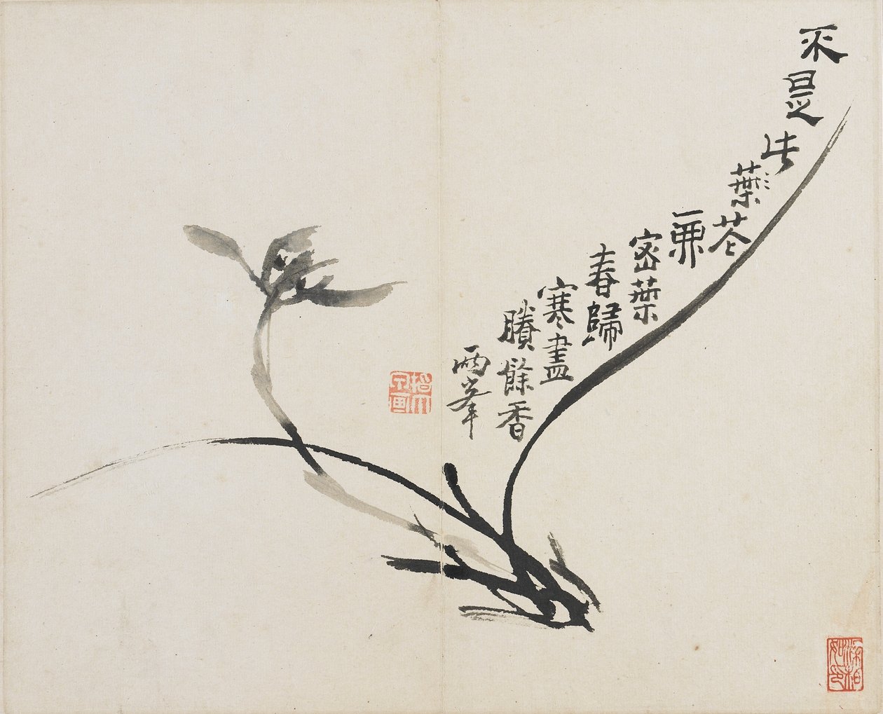 Paesaggi, Fiori e Uccelli: Orchidea, Dinastia Qing, 1780 da Luo Ping