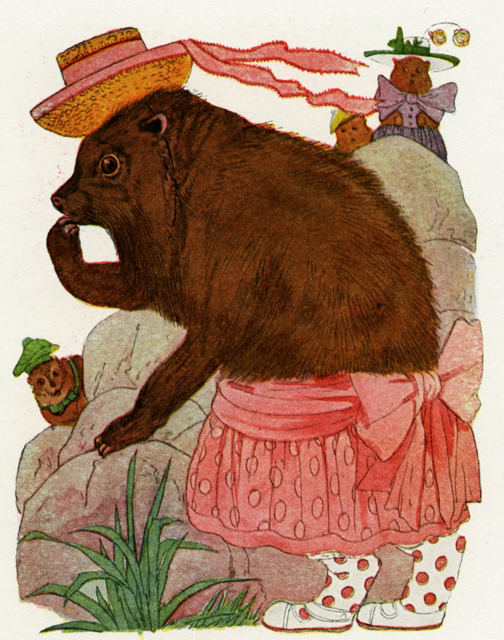 Coniglio, 1913 da Martin Ross
