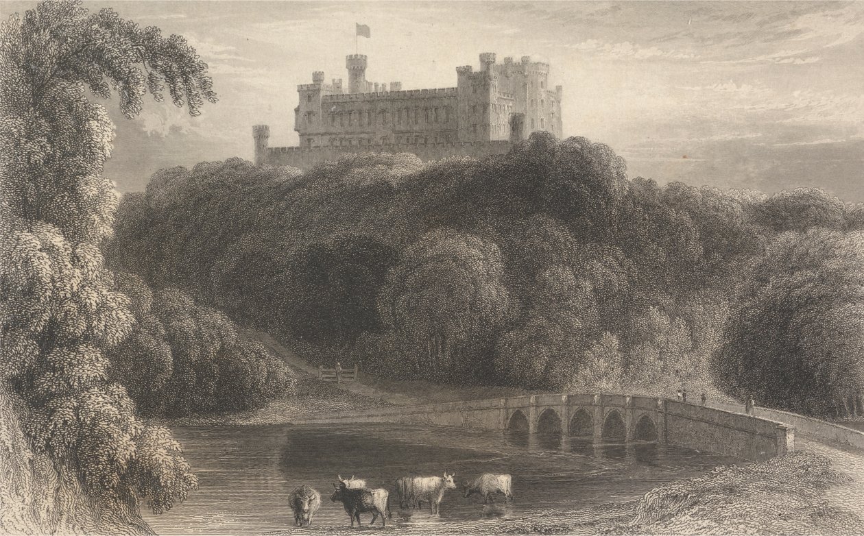 Castello di Belvoir, Rutland da M. J. Starling