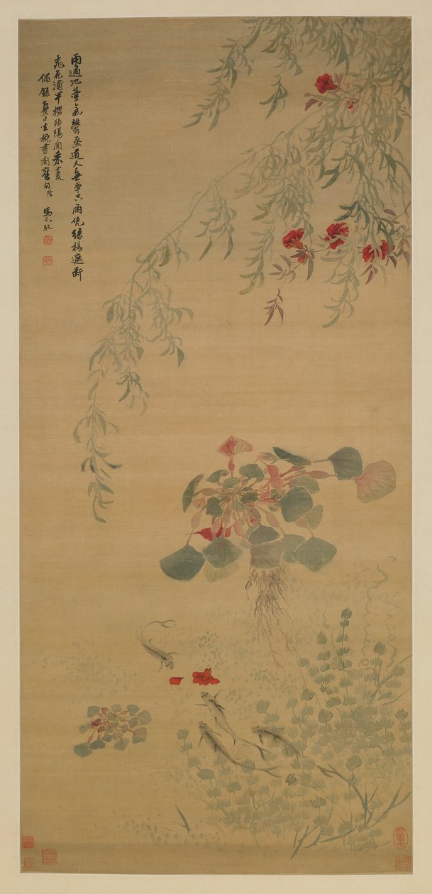 Fiori caduti, pesci curiosi, dinastia Qing, inizio XVIII secolo da Ma Yuanyu