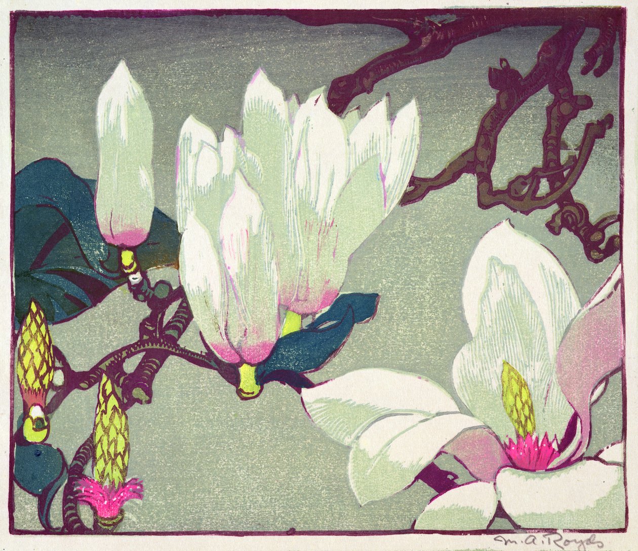 Magnolia, c.1925 da Mabel Royds