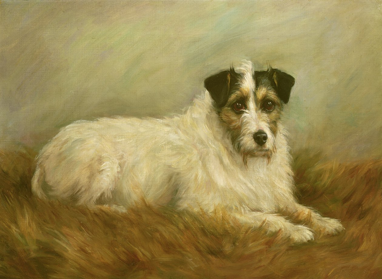 Terrier da Mabel Hastings