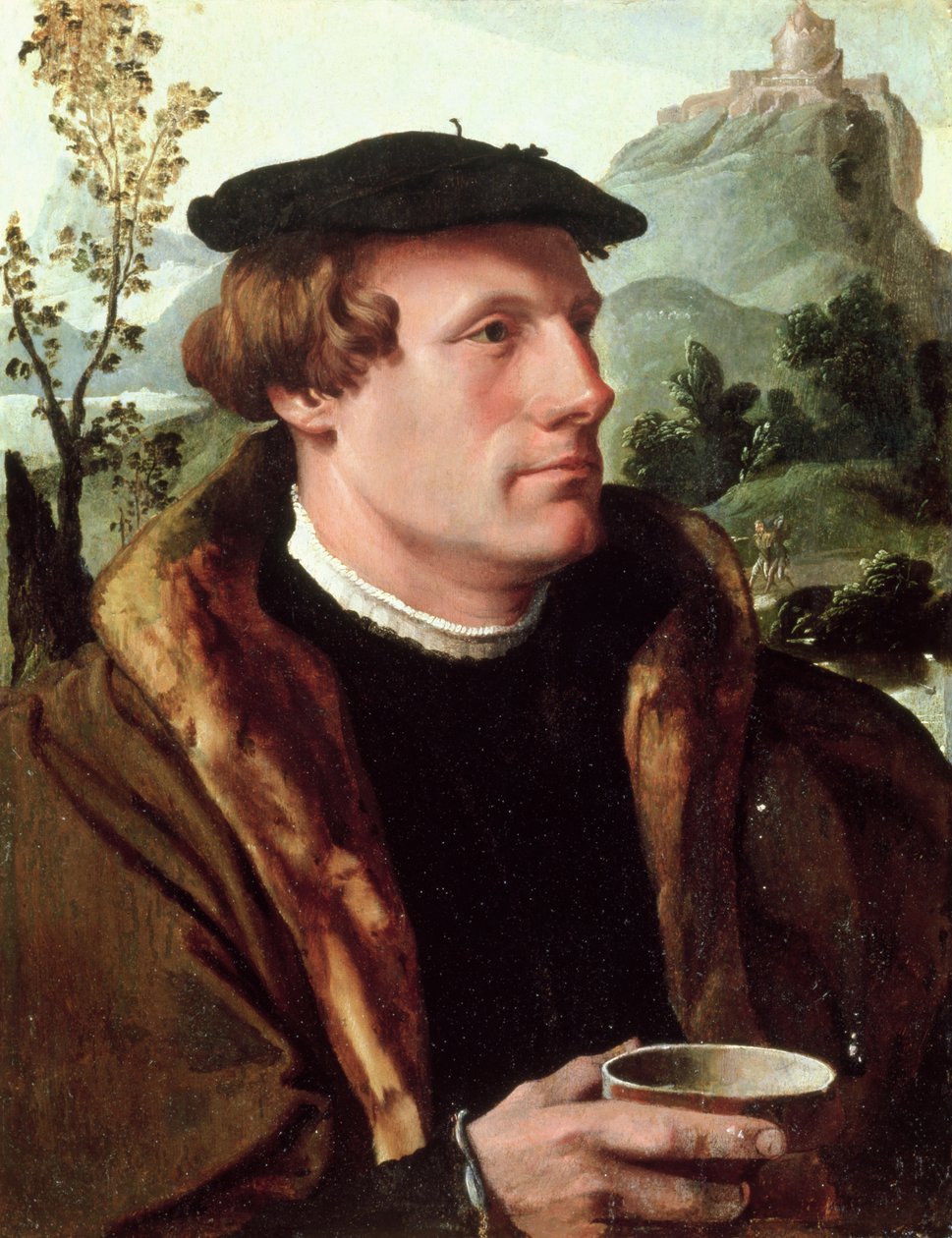 Ritratto di un gentiluomo da Maerten van Heemskerck