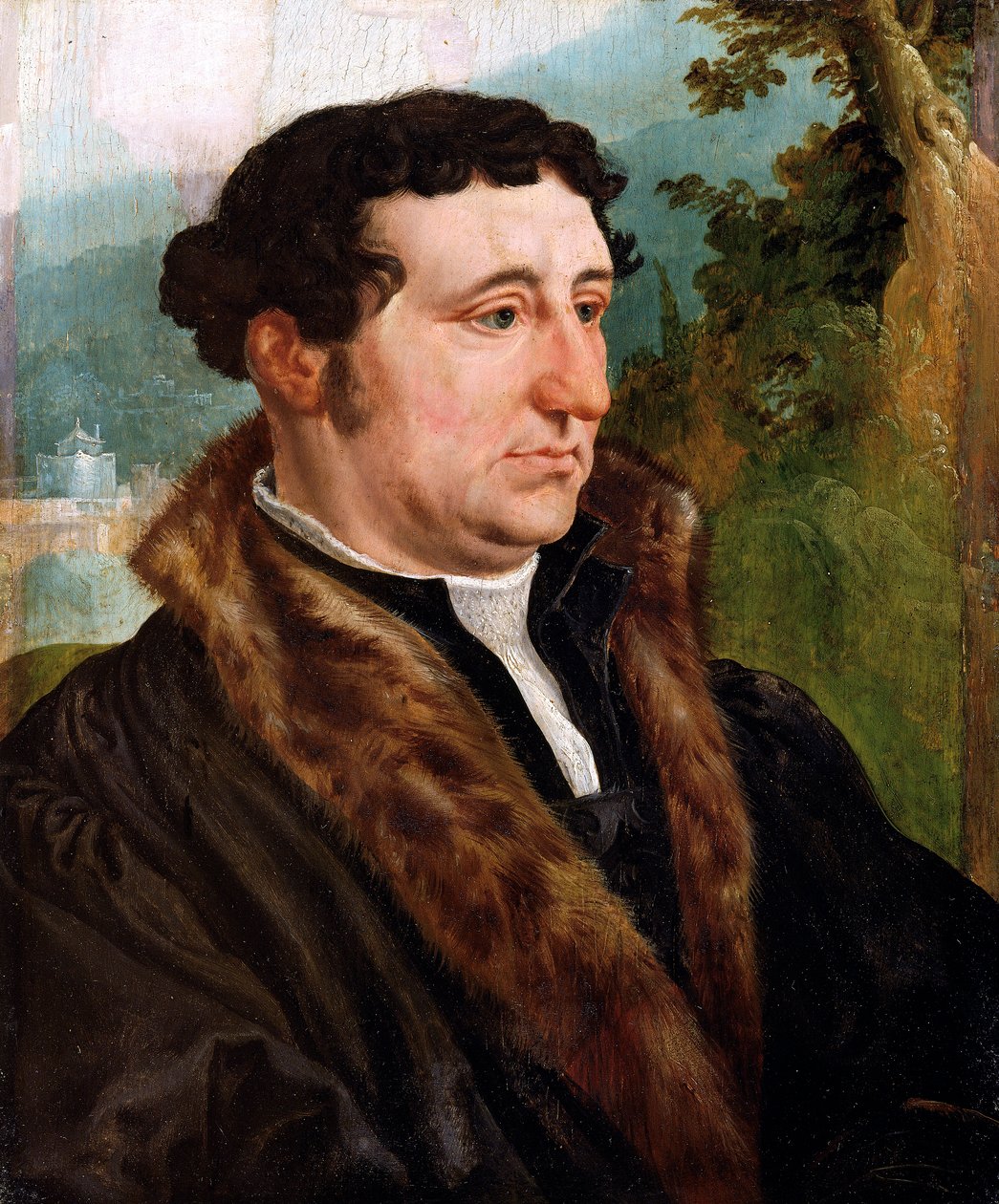 Ritratto di un uomo da Maerten van Heemskerck