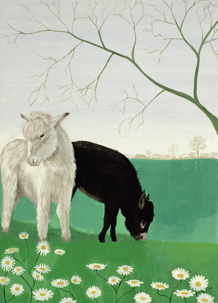 Asini e margherite da Maggie Rowe