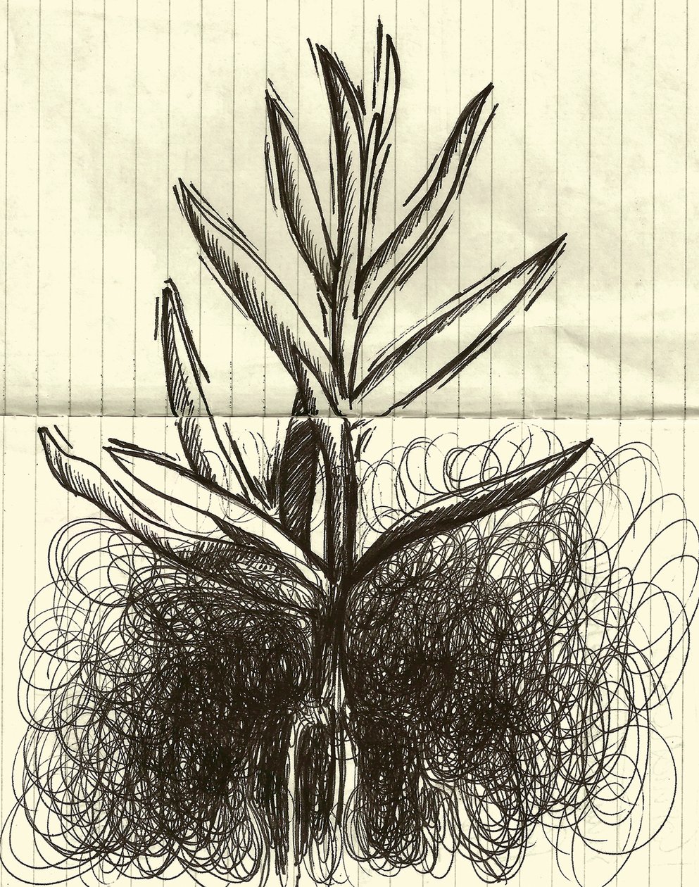 Pianta, 2014 (inchiostro su carta) da Marco Campedelli