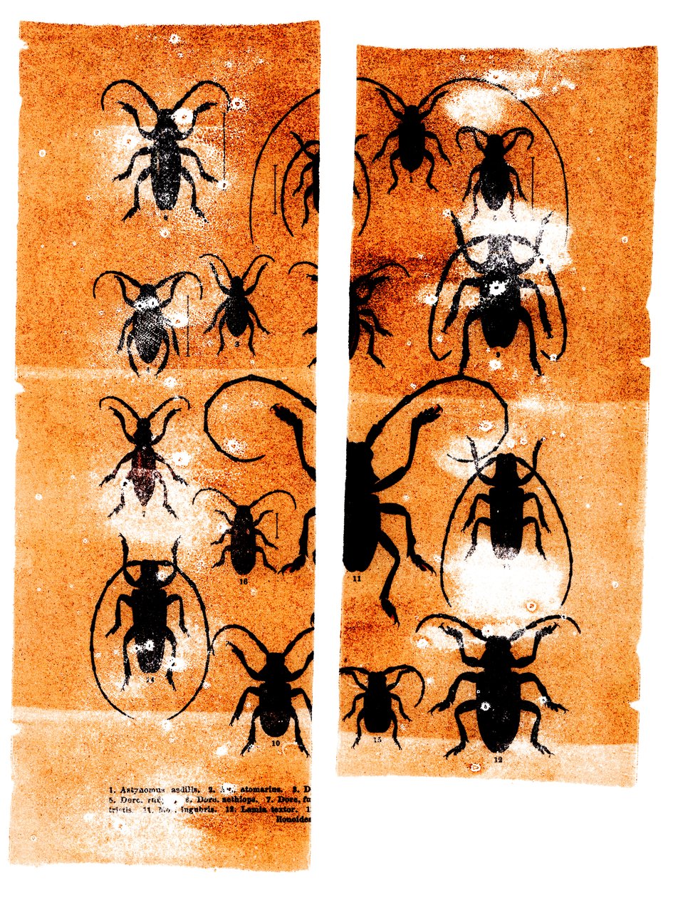 Sciarpe, 2023 (tecnica mista) da Marco Campedelli
