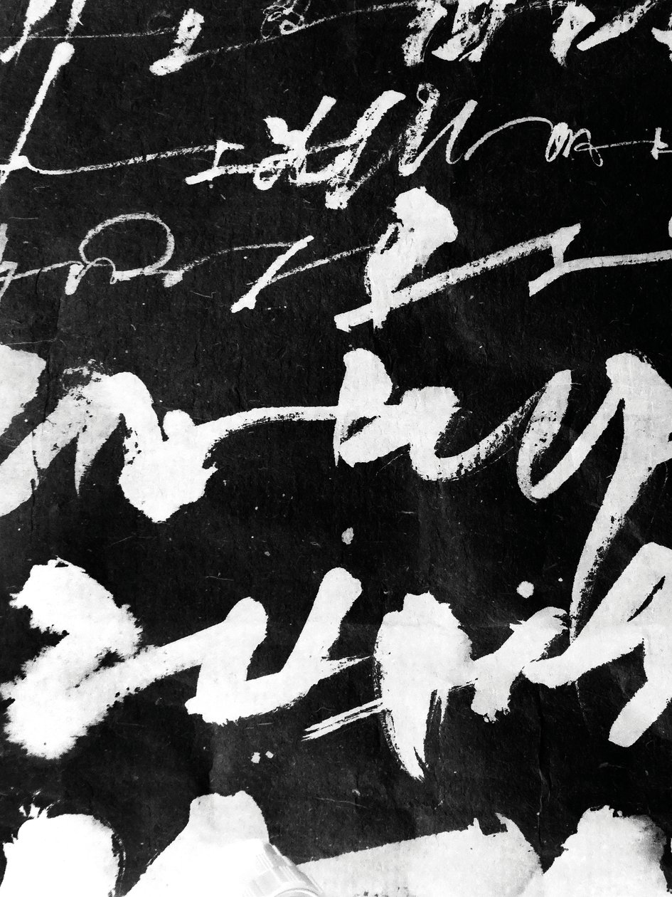 Wabi Sabi (dettaglio), 2018 (inchiostro su carta) da Marco Campedelli