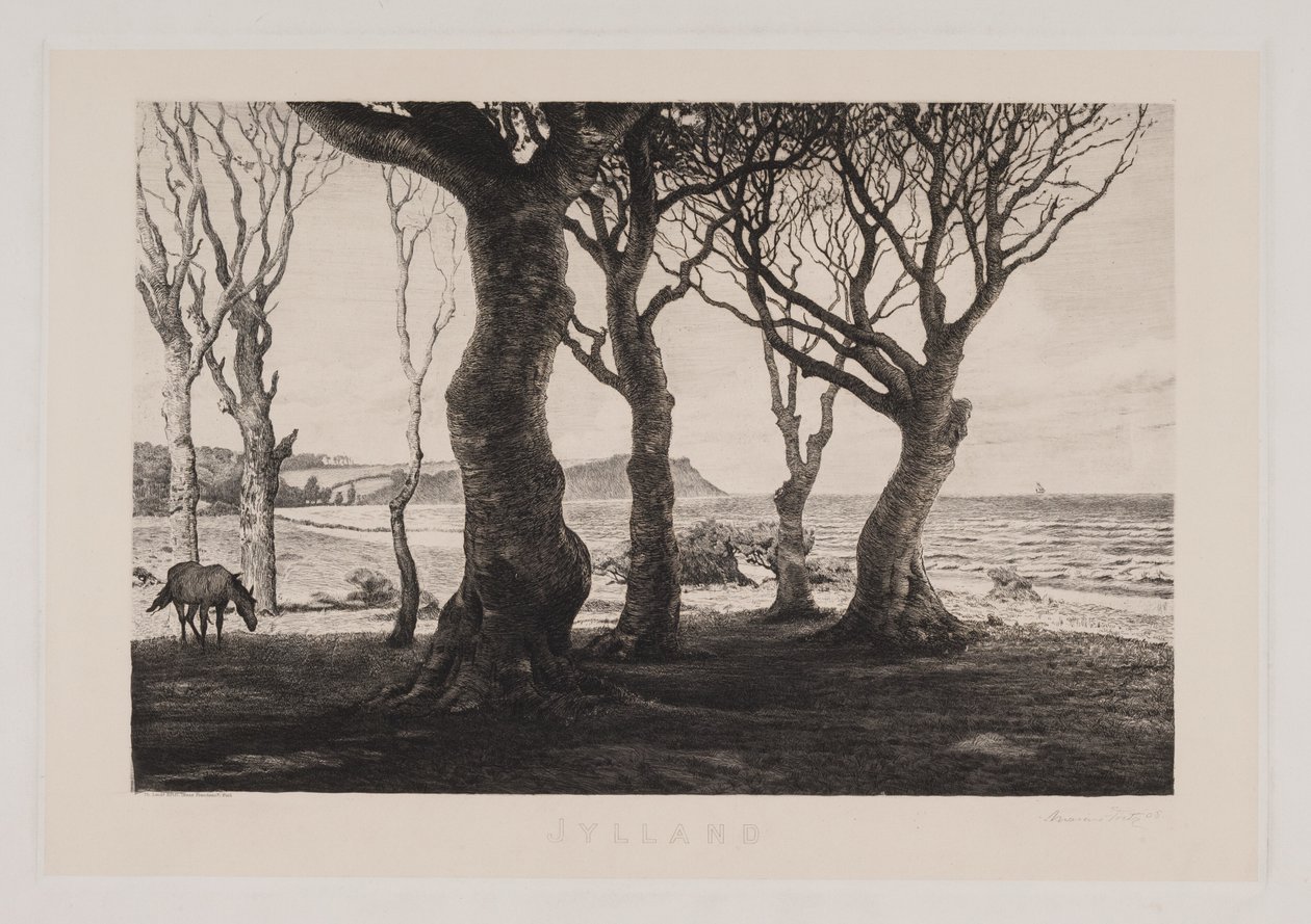 Paesaggio dello Jutland da Marcus Bech Fritz