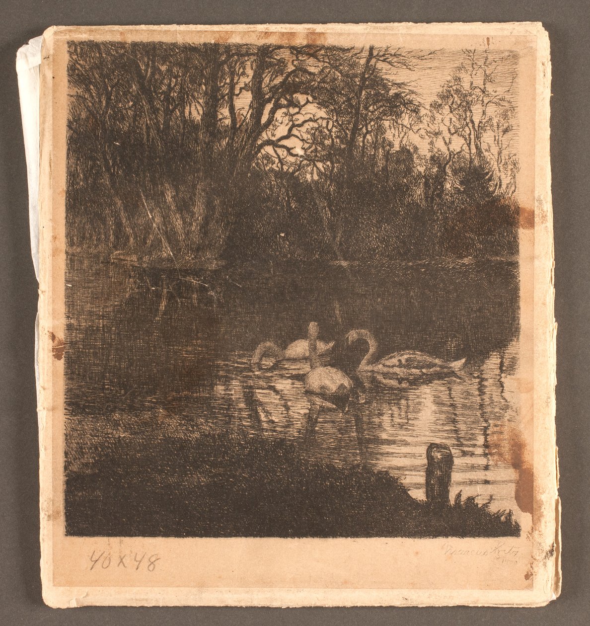 Motivo con cigni. Giardino di Frederiksberg da Marcus Bech Fritz