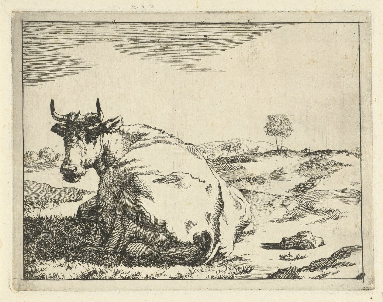 Mucca sdraiata da Marcus de Bye