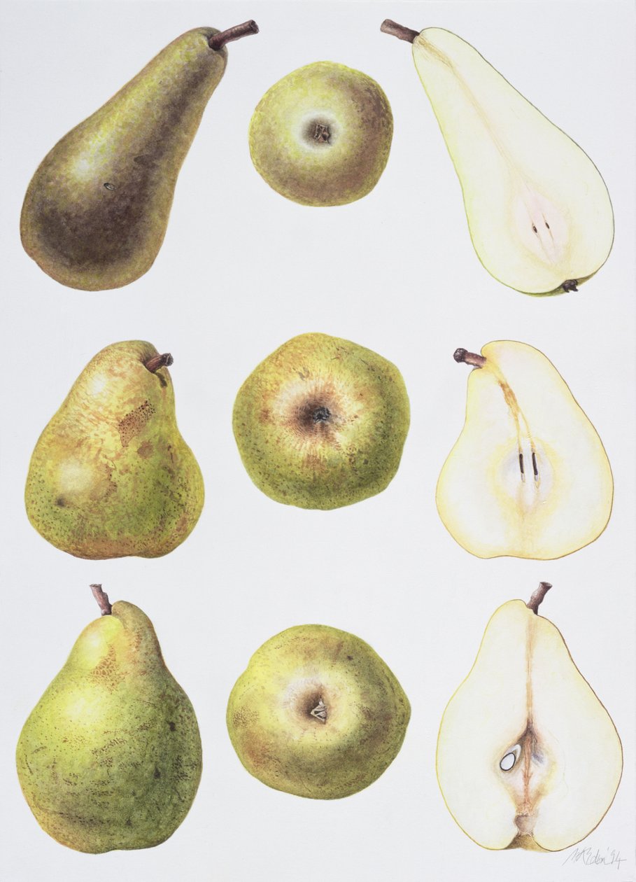 Sei pere, 1994 da Margaret Ann Eden
