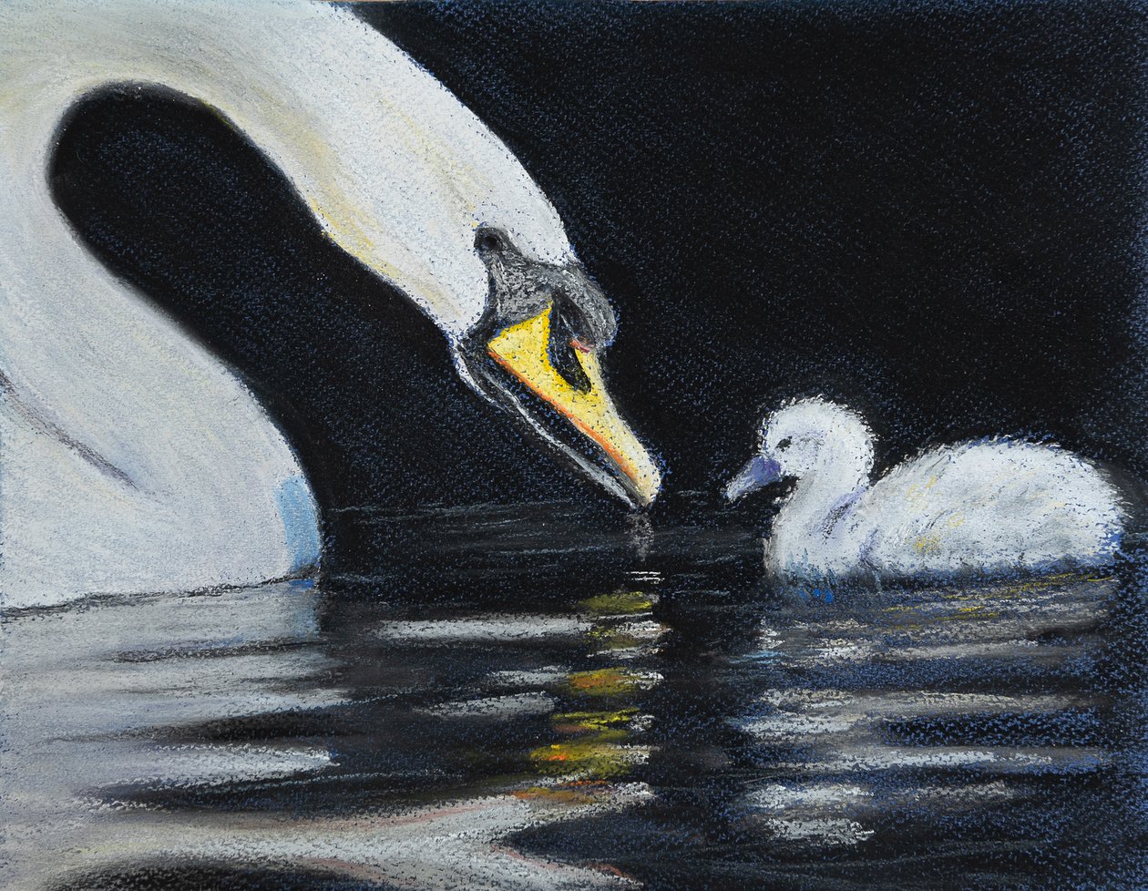 Segui la mamma da Margo Starkey