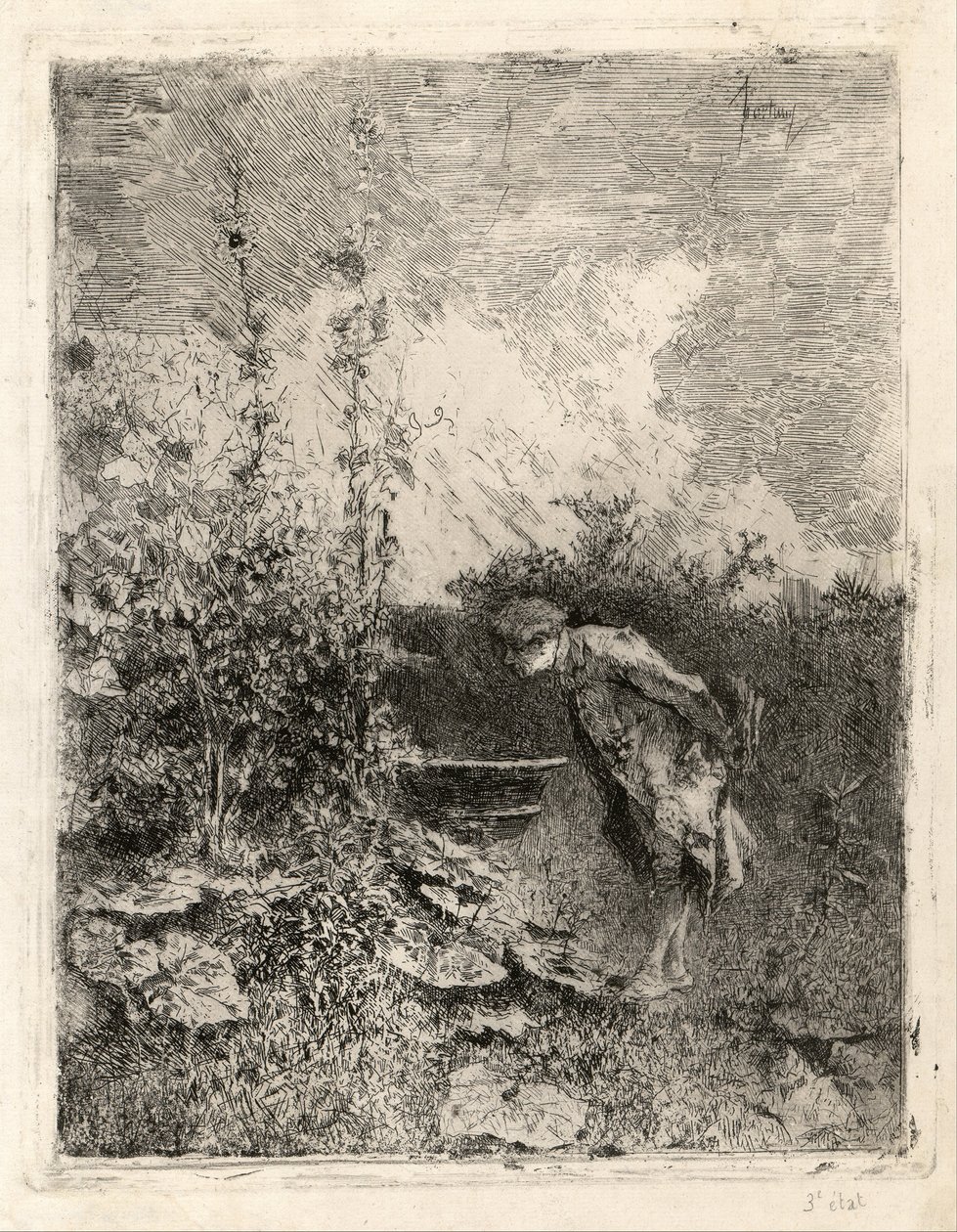 Il botanico da Marià Fortuny Marsal