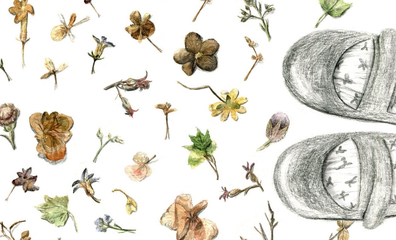 Fiori pressati, 2020 da Maria Basea