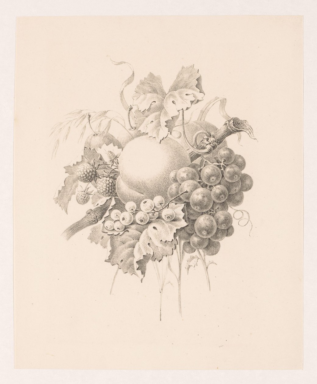 Composizione di frutti da Maria Geertruida de Goeje Barbiers (attributed to)