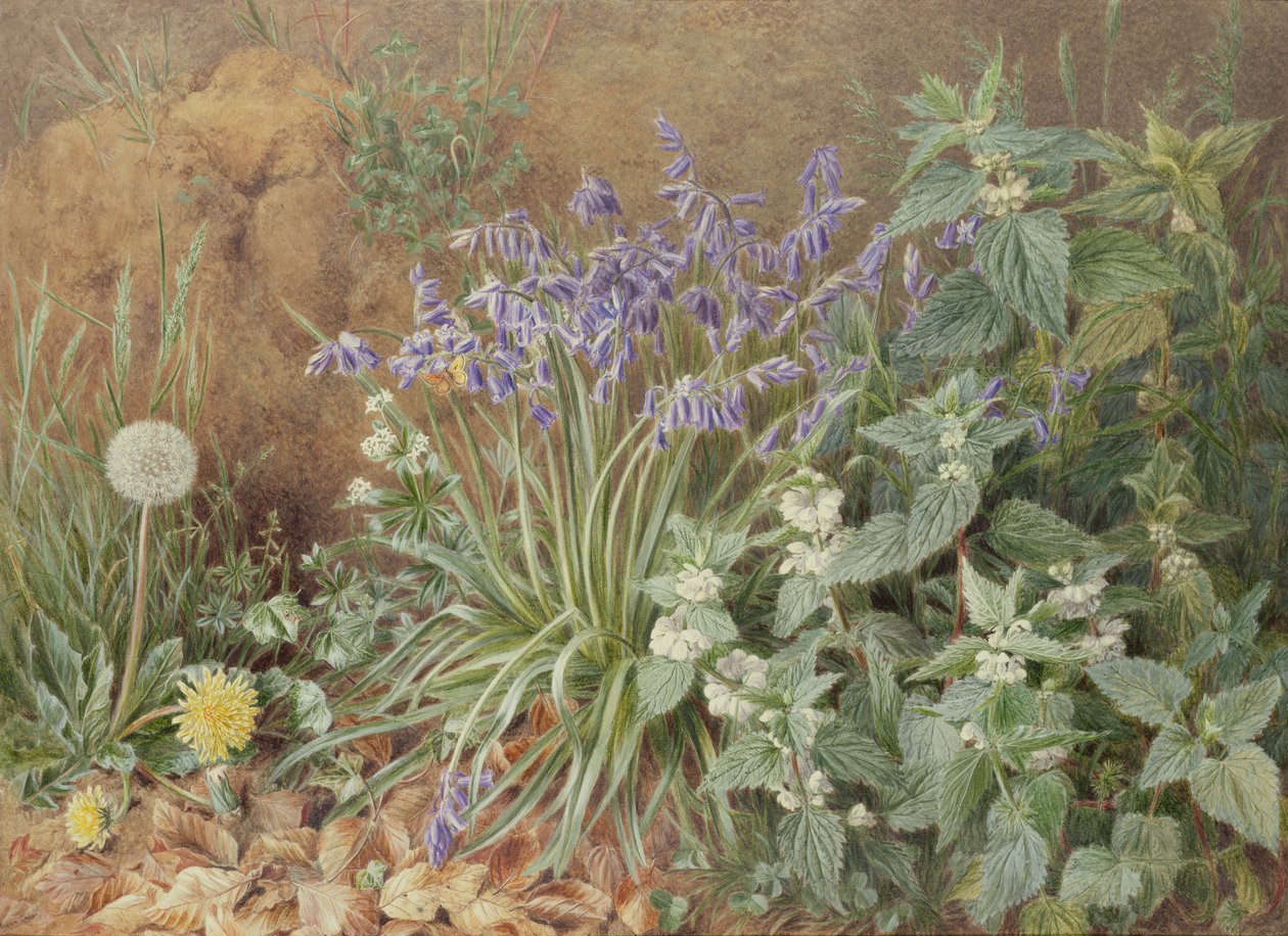 Fiori selvatici da Marian Emma Chase