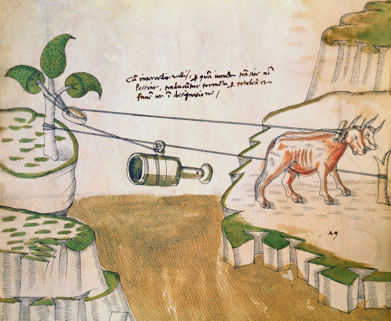 Buoi che tirano una carrucola, illustrazione da De Machinis da Mariano di Jacopo 1382 c.1453 after Mariano di Jacopo 1382 c.1453 after