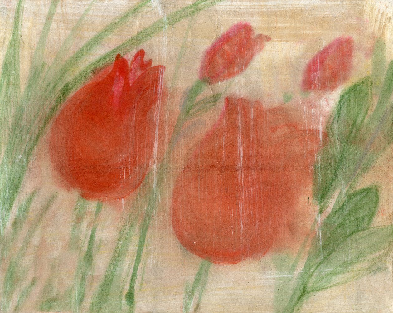 Tulipani rossi da Marina Falco