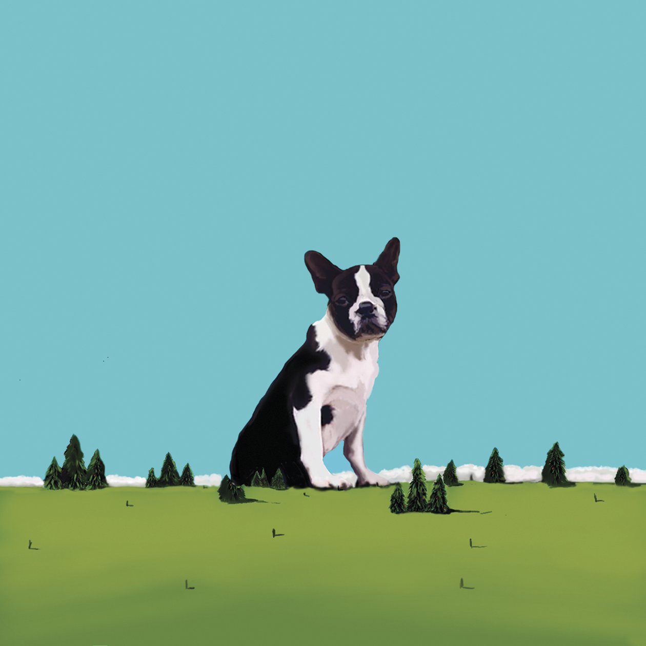 Boston Terrier da Marjorie Weiss