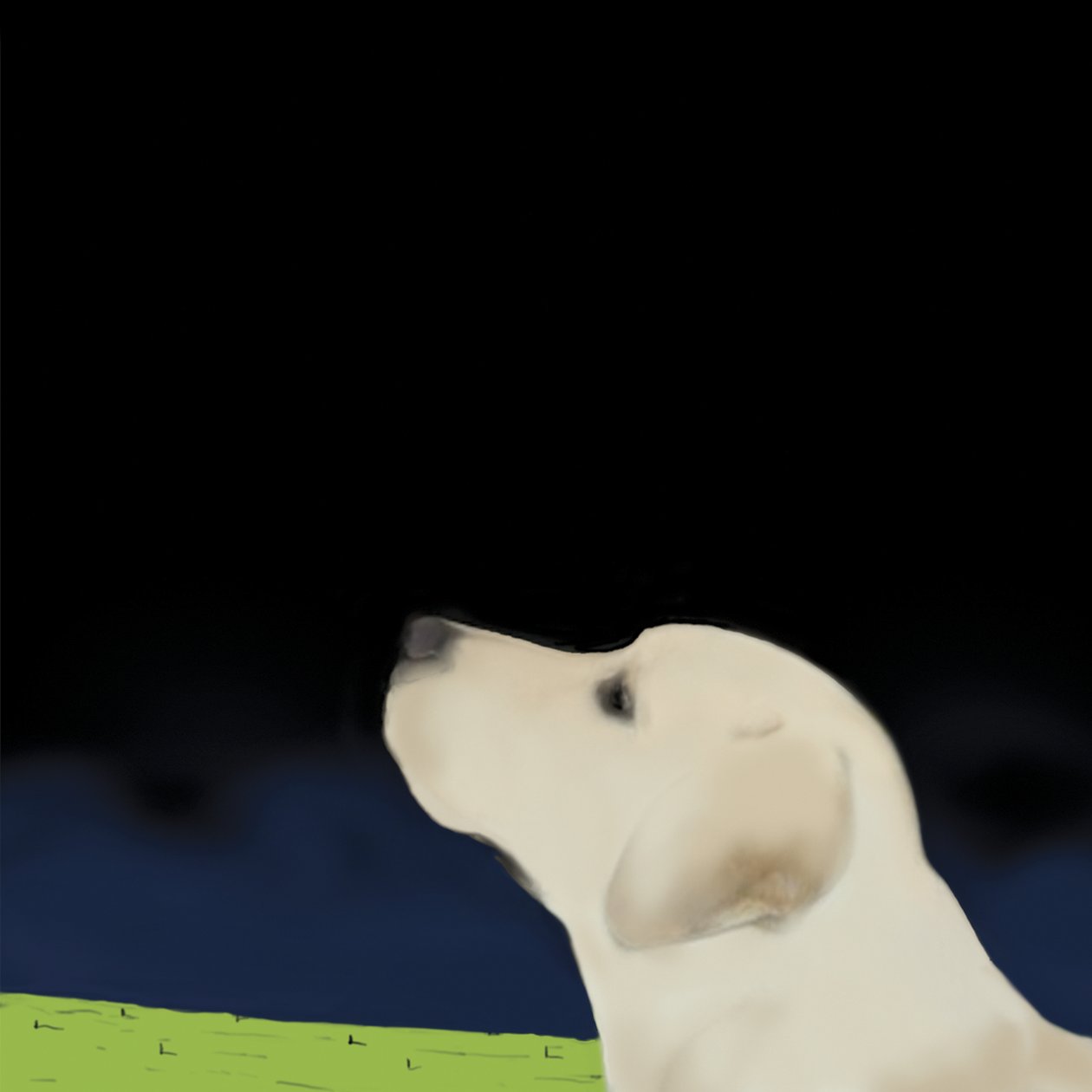 Profilo di cane giallo da Marjorie Weiss