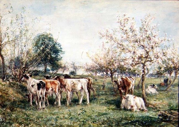 Vitelli in un Frutteto di Ciliegie da Mark Fisher