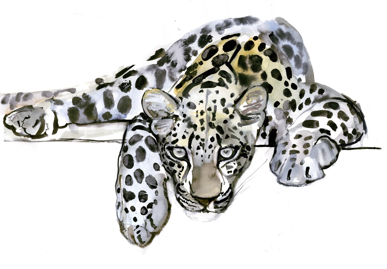 Leopardo arabo, 2008 da Mark Adlington