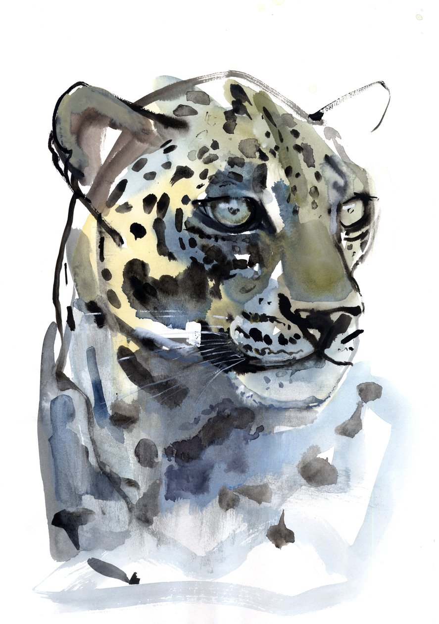 Leopardo Arabico, 2008 da Mark Adlington