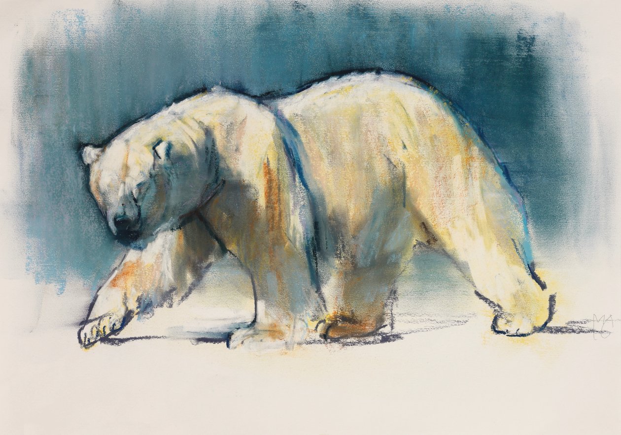 Luce artica da Mark Adlington