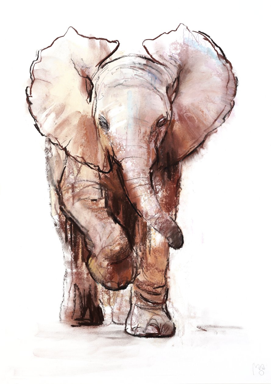 Elefantino, Loisaba da Mark Adlington