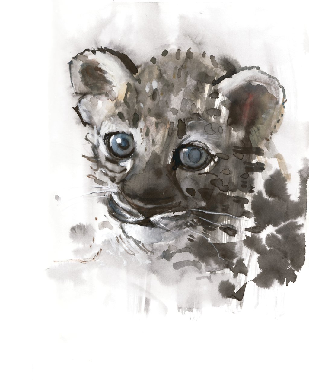 Occhi blu (cucciolo di leopardo arabo), 2008 da Mark Adlington