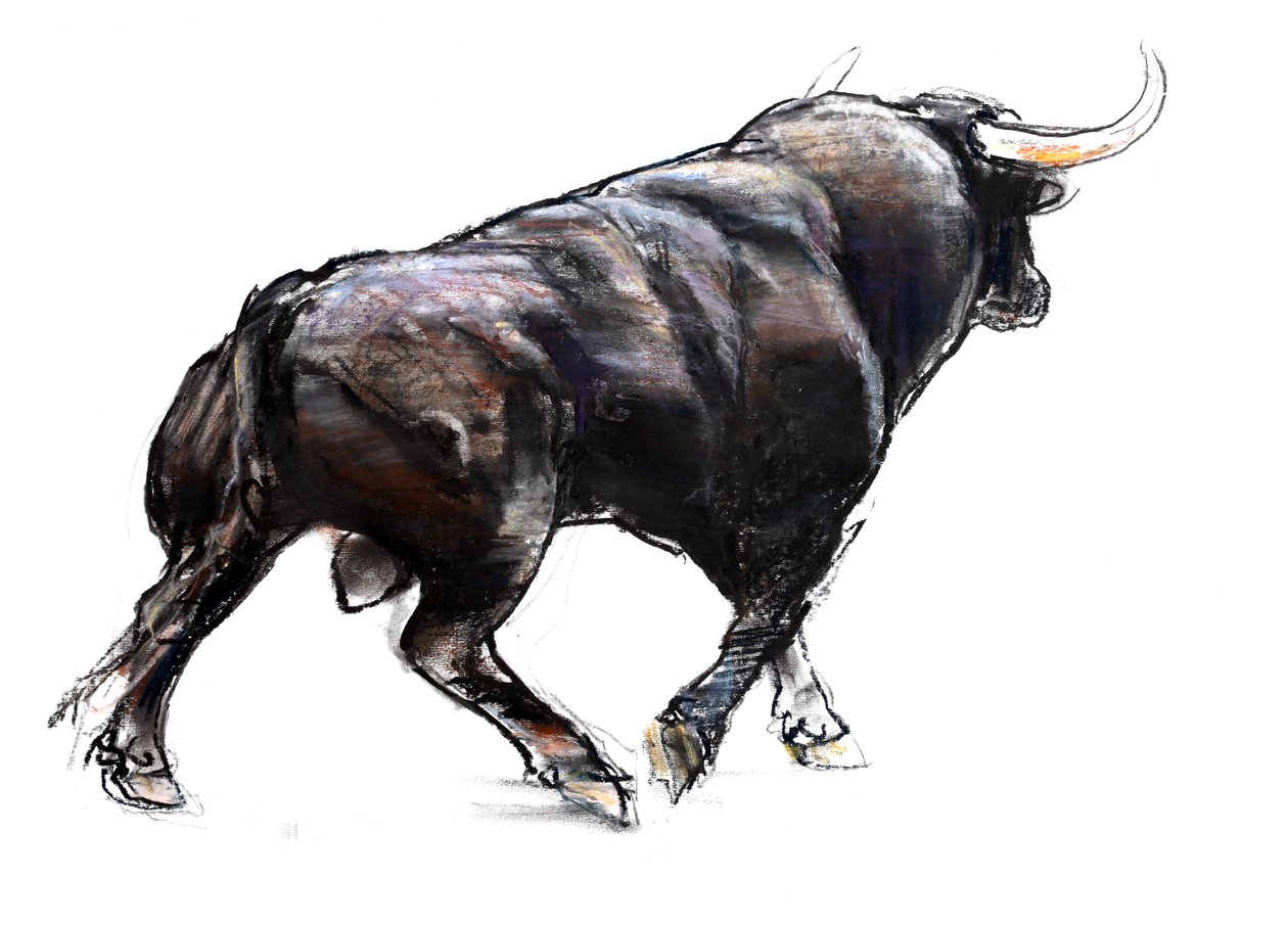 Toro da Mark Adlington