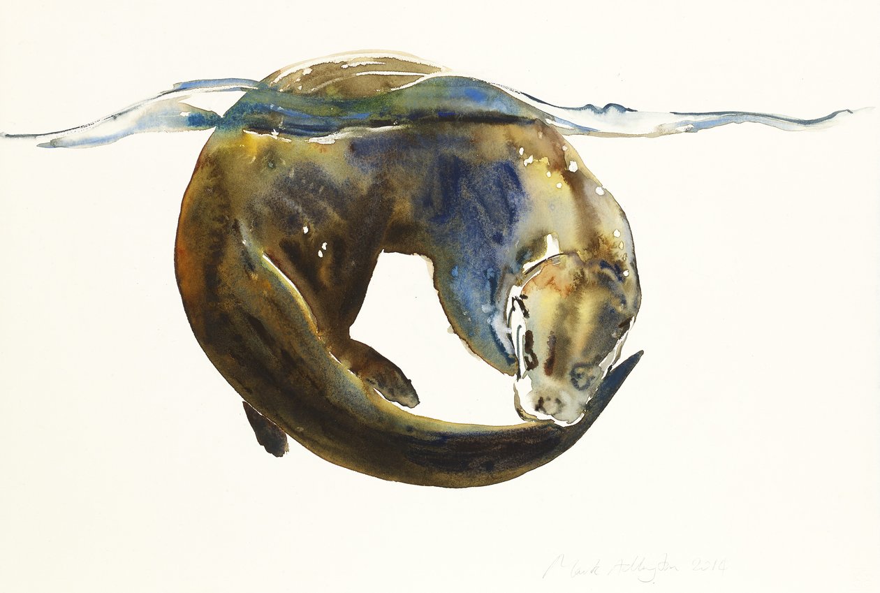 Cerchio della vita, 2014 da Mark Adlington