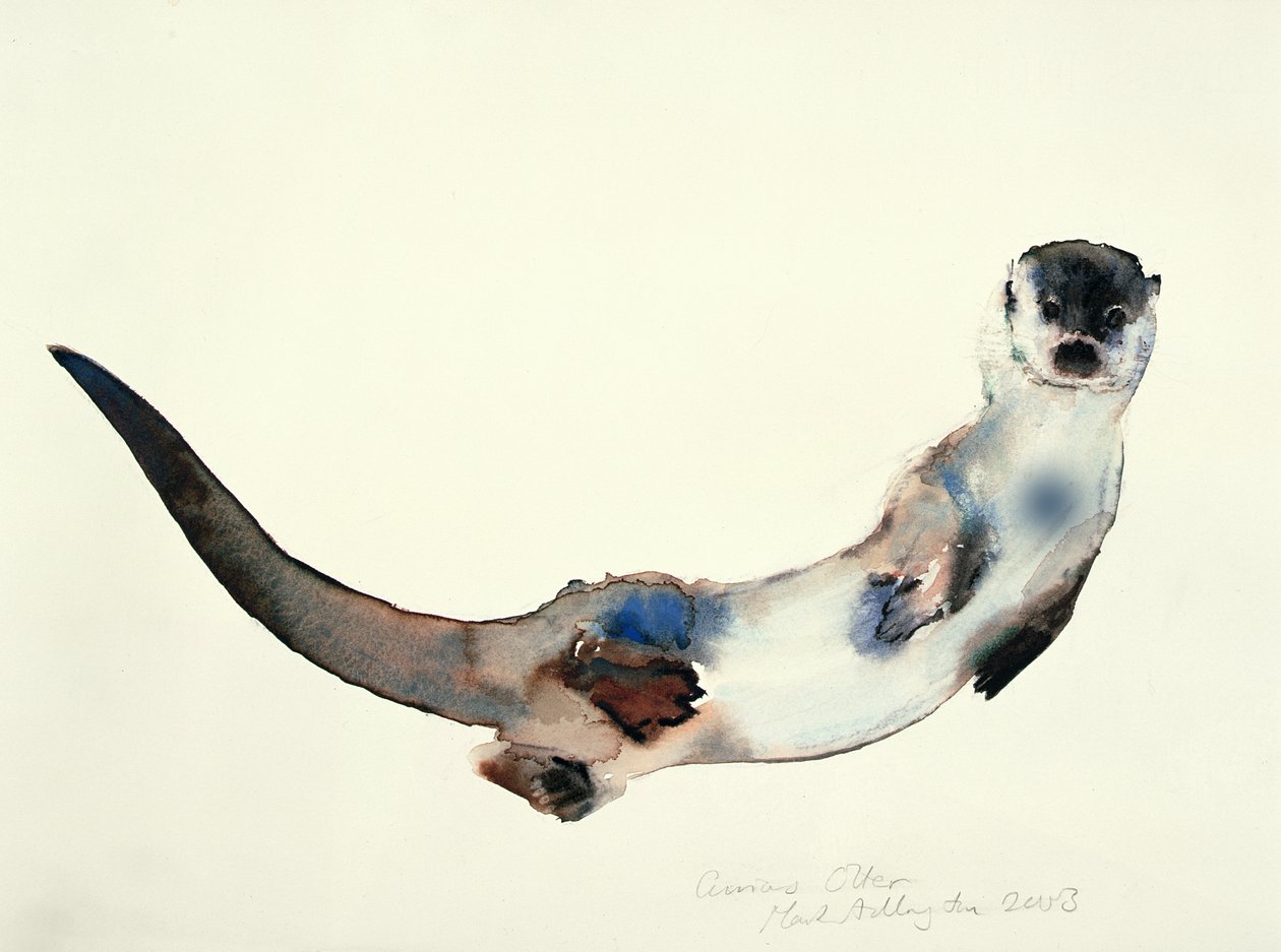 Lontra curiosa, 2003 da Mark Adlington