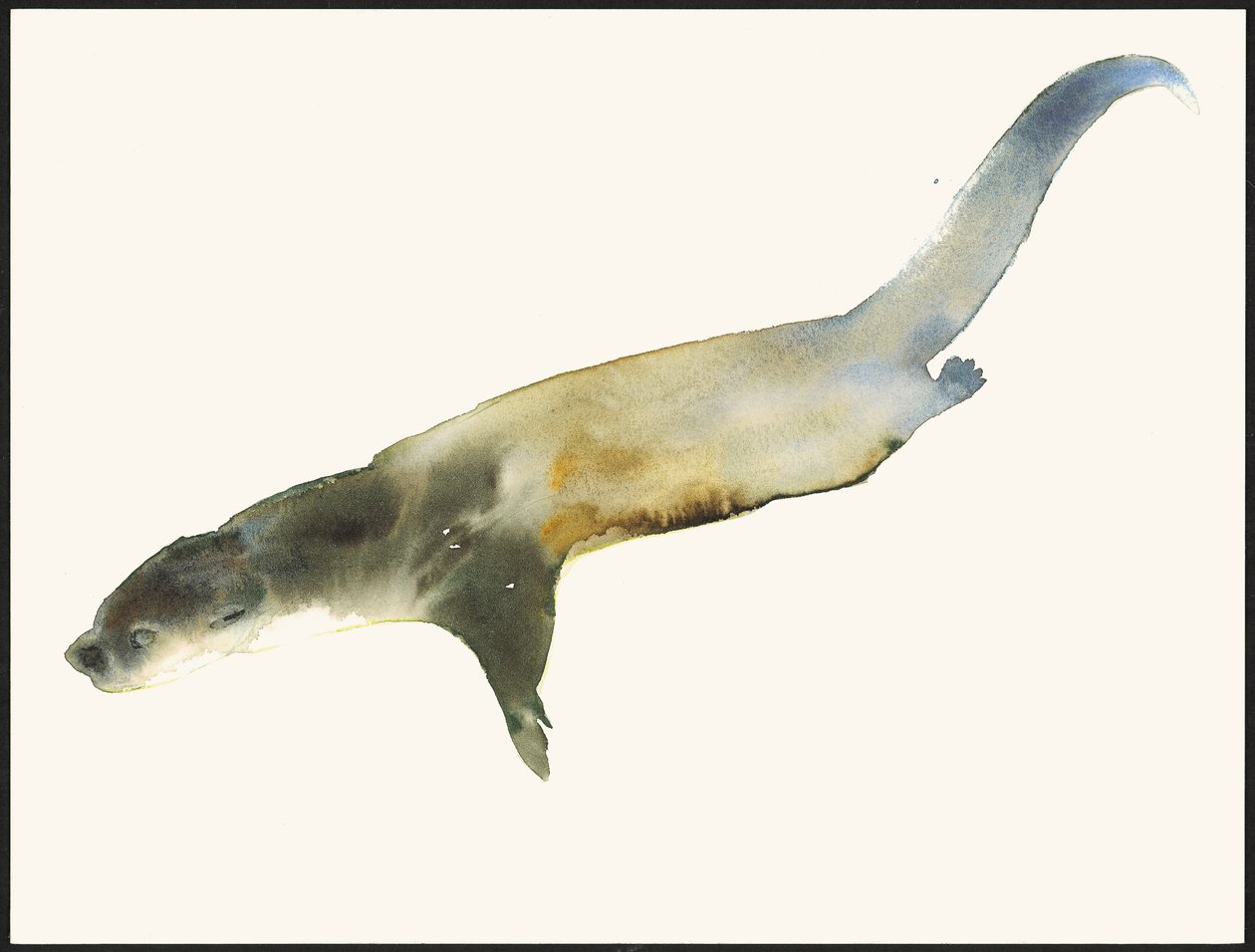 Lontra europea da Mark Adlington