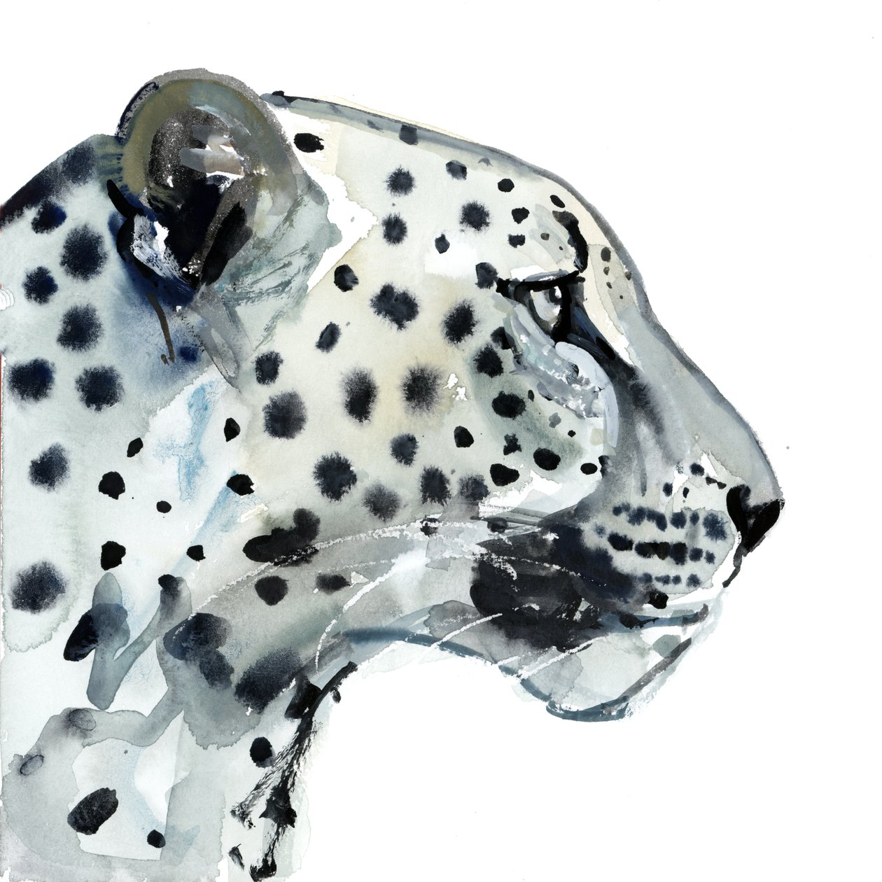 Focus, 2015 da Mark Adlington