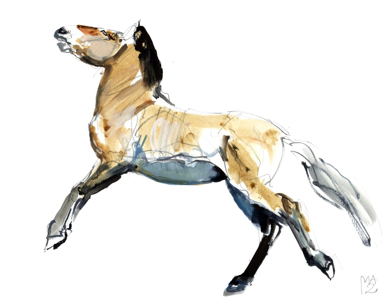Libero (Przewalski) da Mark Adlington