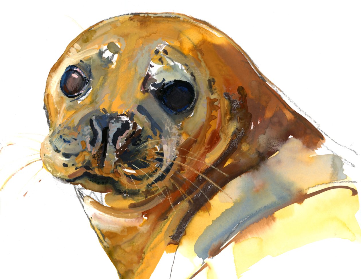 Cucciolo di zenzero, Westcove da Mark Adlington