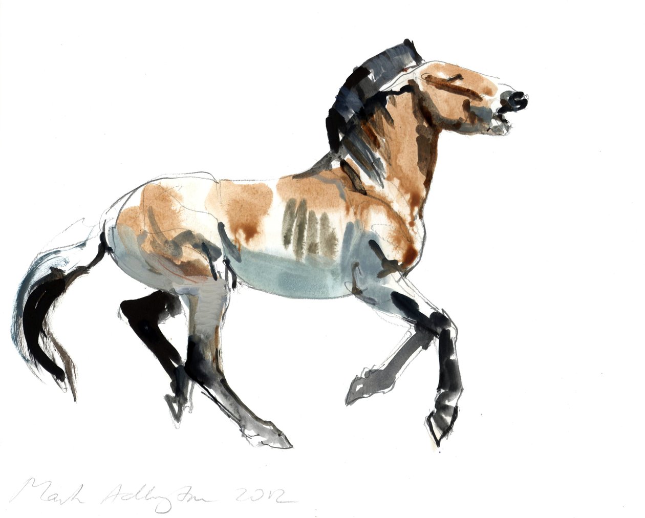 Greco (Przewalski) da Mark Adlington