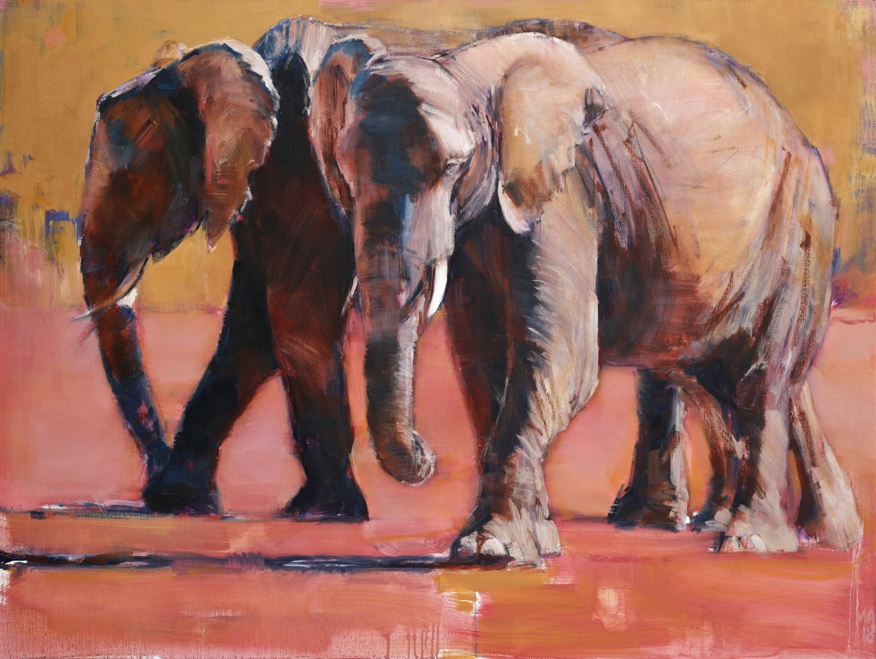 Calore, Ol Pejeta da Mark Adlington