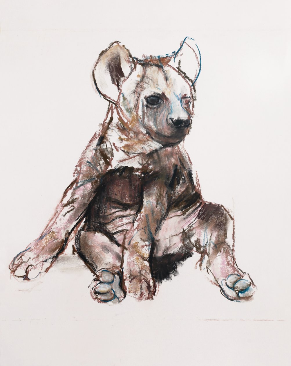 Cucciolo di iena (seduto) da Mark Adlington