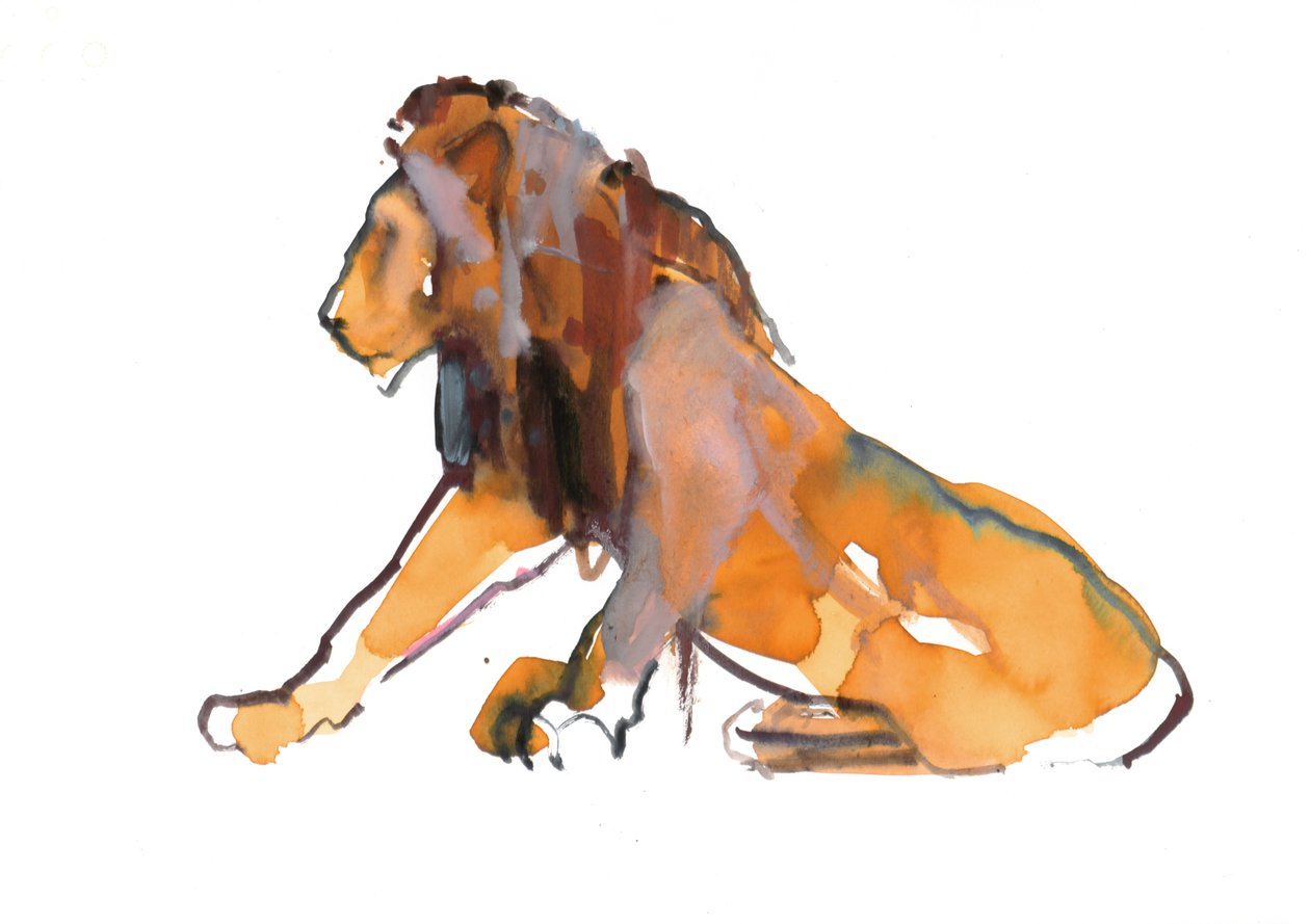 Scarabocchio Mara, 2019 da Mark Adlington