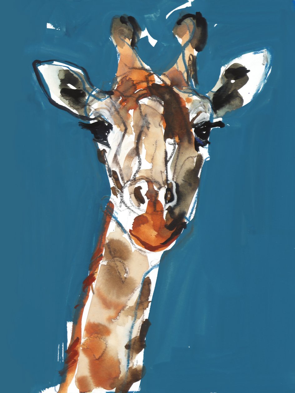 Giraffa Masai da Mark Adlington